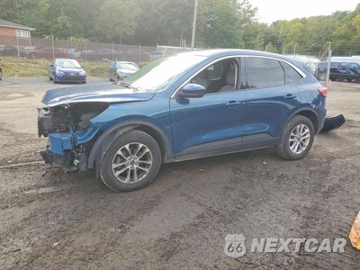 2020 FORD ESCAPE SE 1FMCU9G60LUC62366 - główne zdjęcie licytacji z USA - miniatura