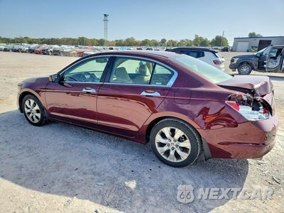 Drugie zdjęcie samochodu z przodu: 2008 HONDA ACCORD EXL VIN:1HGCP36868A074618 - miniatura