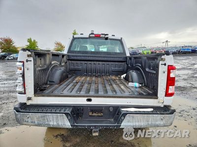 Zdjęcie 6 z 12 samochodu: 2023 FORD F150 SUPER CAB VIN:1FTEX1EPXPKD45614 - miniatura