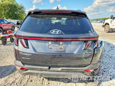 Zdjęcie 6 z 13 samochodu: 2024 HYUNDAI TUCSON LIMITED VIN:5NMJE3DE1RH342230 - miniatura