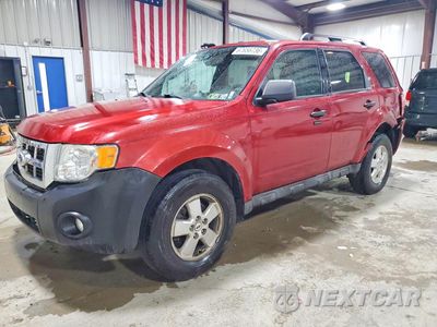 2012 FORD ESCAPE XLT 1FMCU9DG7CKA73531 - główne zdjęcie licytacji z USA - miniatura