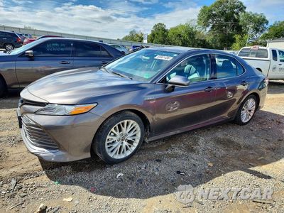 2020 TOYOTA CAMRY XLE 4T1F31AK5LU017571 - główne zdjęcie licytacji z USA - miniatura
