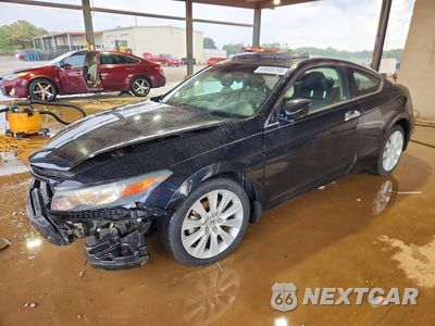 2010 HONDA ACCORD EXL 1HGCS2B85AA002071 - główne zdjęcie licytacji z USA - miniatura