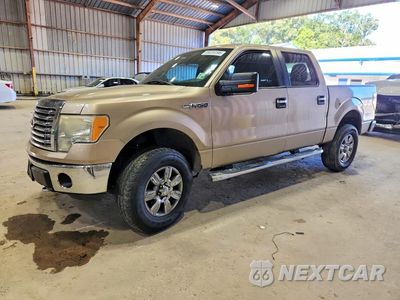 2012 FORD F150 SUPERCREW 1FTFW1EF0CFB67309 - główne zdjęcie licytacji z USA - miniatura
