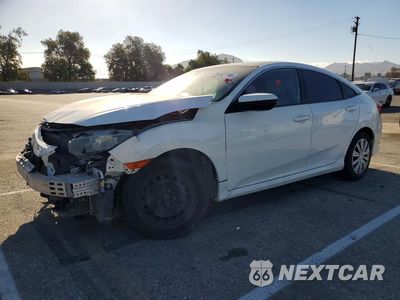 2017 HONDA CIVIC LX 2HGFC2F57HH569663 - główne zdjęcie licytacji z USA - miniatura