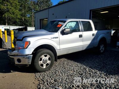 2014 FORD F150 SUPERCREW 1FTFW1EF2EKE10046 - główne zdjęcie licytacji z USA - miniatura
