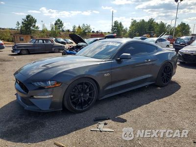 2019 FORD MUSTANG GT 1FA6P8CF9K5200441 - główne zdjęcie licytacji z USA - miniatura