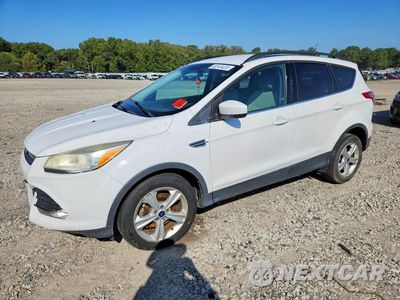 2014 FORD ESCAPE SE 1FMCU0GXXEUA58262 - główne zdjęcie licytacji z USA - miniatura