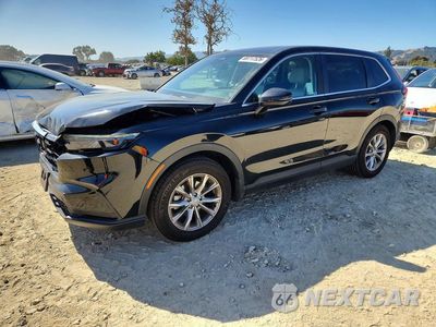 2024 HONDA CR-V EX 5J6RS3H49RL002703 - główne zdjęcie licytacji z USA - miniatura