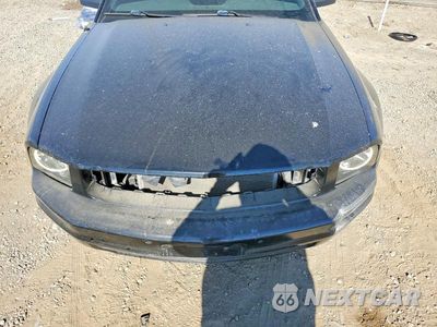 Zdjęcie 11 z 12 samochodu: 2009 FORD MUSTANG VIN:1ZVHT80N395132073 - miniatura