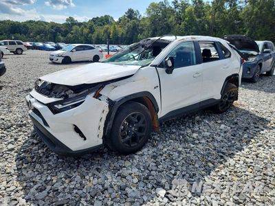 2024 TOYOTA RAV4 LE 2T3H1RFV8RW343817 - główne zdjęcie licytacji z USA - miniatura