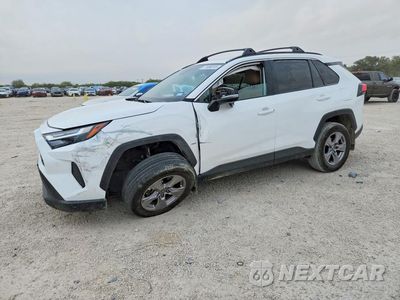 2025 TOYOTA RAV4 XLE 2T3W1RFV9SW404850 - główne zdjęcie licytacji z USA - miniatura