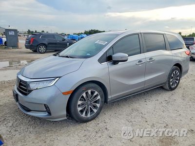 2023 HONDA ODYSSEY EXL 5FNRL6H60PB033019 - główne zdjęcie licytacji z USA - miniatura