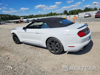 Drugie zdjęcie samochodu z przodu: 2019 FORD MUSTANG VIN:1FATP8UH4K5204674 - miniatura