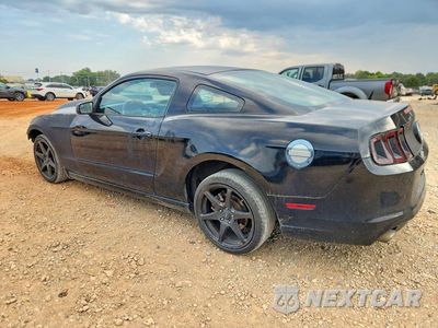 Drugie zdjęcie samochodu z przodu: 2014 FORD MUSTANG VIN:1ZVBP8AMXE5290260 - miniatura