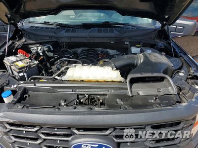 Zdjęcie 11 z 12 samochodu: 2024 FORD F150 XL VIN:1FTMF1L56RKD34029 - miniatura