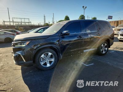 2025 HONDA PILOT EXL 5FNYG2H45SB032254 - główne zdjęcie licytacji z USA - miniatura