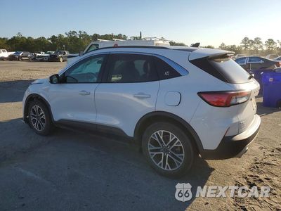 Drugie zdjęcie samochodu z przodu: 2020 FORD ESCAPE SEL VIN:1FMCU0H64LUC24861 - miniatura