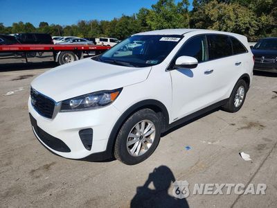 2019 KIA SORENTO LX V6 5XYPGDA5XKG483554 - główne zdjęcie licytacji z USA - miniatura