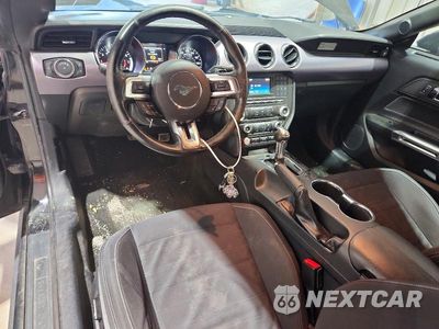 Zdjęcie 8 z 12 samochodu: 2017 FORD MUSTANG VIN:1FA6P8TH7H5238194 - miniatura