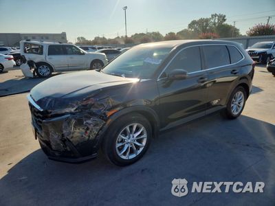 2024 HONDA CR-V EXL 5J6RS3H74RL007253 - główne zdjęcie licytacji z USA - miniatura