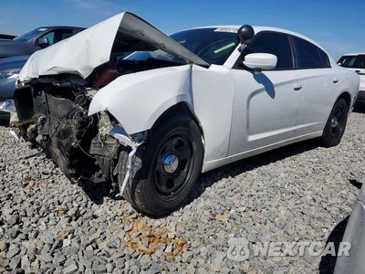 2014 DODGE CHARGER POLICE 2C3CDXAG5EH230453 - główne zdjęcie licytacji z USA - miniatura