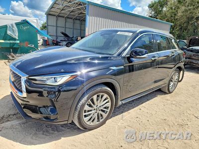 2024 INFINITI QX50 LUXE 3PCAJ5BA7RF105038 - główne zdjęcie licytacji z USA - miniatura