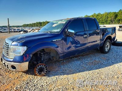 2010 FORD F150 SUPERCREW 1FTEW1C84AFD72578 - główne zdjęcie licytacji z USA - miniatura