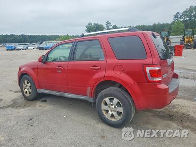 Drugie zdjęcie samochodu z przodu: 2011 FORD ESCAPE LIMITED VIN:1FMCU0E79BKC24846 - miniatura