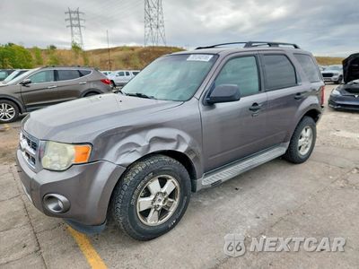 2011 FORD ESCAPE XLT 1FMCU0DG1BKC42243 - główne zdjęcie licytacji z USA - miniatura