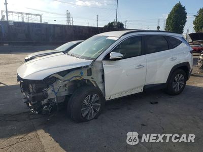 2022 HYUNDAI TUCSON BLUE KM8JBCA17NU078584 - główne zdjęcie licytacji z USA - miniatura