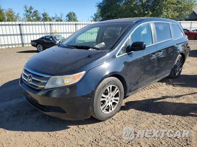 2011 HONDA ODYSSEY EXL 5FNRL5H64BB100336 - główne zdjęcie licytacji z USA - miniatura