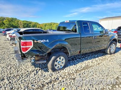 Trzecie zdjęcie samochodu z tyłu: 2013 FORD F150 SUPER CAB VIN:1FTFX1EF0DKD70996 - miniatura