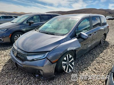 2025 HONDA ODYSSEY EXL 5FNRL6H61SB059461 - główne zdjęcie licytacji z USA - miniatura