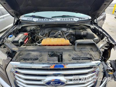 Zdjęcie 11 z 12 samochodu: 2016 FORD F150 SUPERCREW VIN:1FTEW1EF6GKE41248 - miniatura