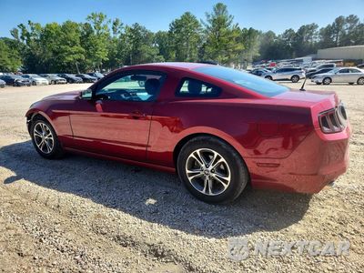 Drugie zdjęcie samochodu z przodu: 2014 FORD MUSTANG VIN:1ZVBP8AM4E5308087 - miniatura