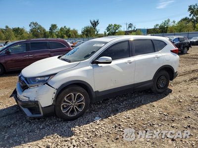 2022 HONDA CR-V EX 2HKRW2H58NH656393 - główne zdjęcie licytacji z USA - miniatura