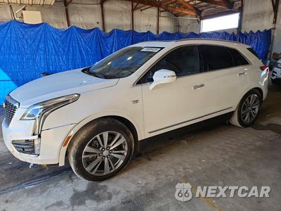 2025 CADILLAC XT5 PREMIUM LUXURY 1GYKNCRSXSZ122504 - główne zdjęcie licytacji z USA - miniatura