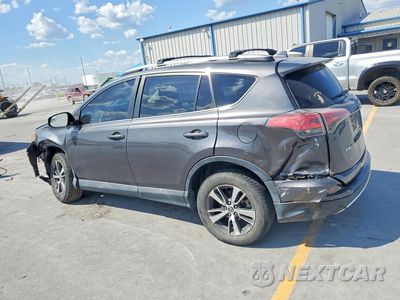 Drugie zdjęcie samochodu z przodu: 2016 TOYOTA RAV4 XLE VIN:2T3RFREV0GW446234 - miniatura