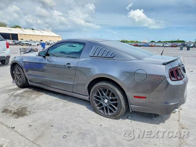 Drugie zdjęcie samochodu z przodu: 2014 FORD MUSTANG VIN:1ZVBP8AM3E5320196 - miniatura