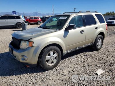 2010 FORD ESCAPE XLT 1FMCU9D74AKB94918 - główne zdjęcie licytacji z USA - miniatura