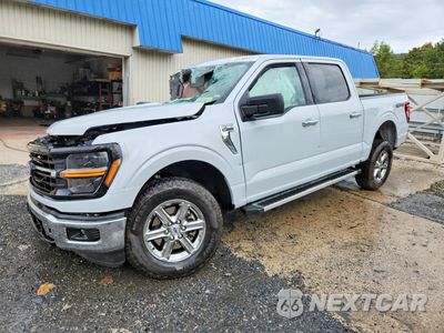 2025 FORD F150 XLT 1FTEW3LP7SKE16732 - główne zdjęcie licytacji z USA - miniatura
