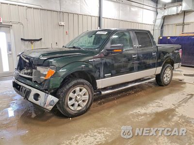 2013 FORD F150 SUPERCREW 1FTFW1ET4DKD60383 - główne zdjęcie licytacji z USA - miniatura