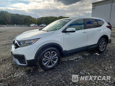 2020 HONDA CR-V EX 7FARW2H52LE010900 - główne zdjęcie licytacji z USA - miniatura