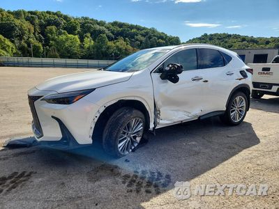 2024 LEXUS NX 350 LUXURY 2T2HGCEZ4RC032326 - główne zdjęcie licytacji z USA - miniatura