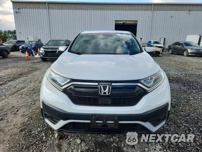 Piąte zdjęcie samochodu w środku: 2020 HONDA CR-V EX VIN:7FARW2H52LE010900 - miniatura
