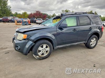 2009 FORD ESCAPE XLT 1FMCU03G59KA94965 - główne zdjęcie licytacji z USA - miniatura