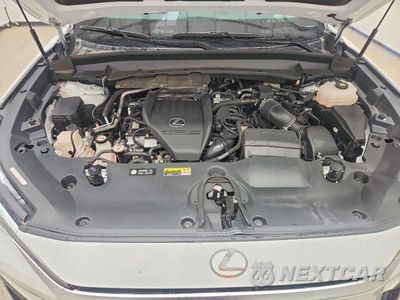 Zdjęcie 12 z 13 samochodu: 2024 LEXUS TX 500H F SPORT PERFORMANCE PREMIUM VIN:5TDABAB61RS003635 - miniatura