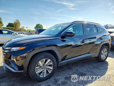 2024 HYUNDAI TUCSON BLUE KM8JBCD15RU220786 - główne zdjęcie licytacji z USA - miniatura