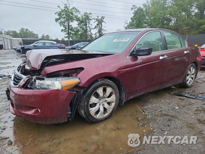 2008 HONDA ACCORD EXL 1HGCP36898A029401 - główne zdjęcie licytacji z USA - miniatura